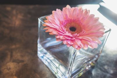 High angle view of pink flower on table