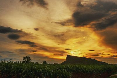 Scenic view of field against sky during sunset