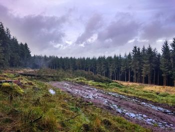 Scenic view of landscape against cloudy sky