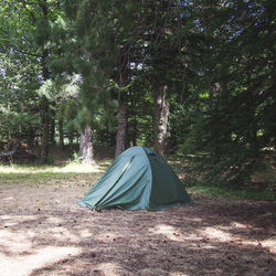 Tent on field against trees in forest