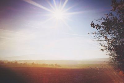 Scenic view of landscape against clear sky