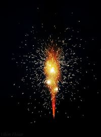 Low angle view of firework display at night