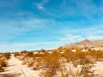 Scenic view of desert against sky