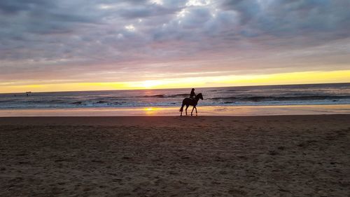 Woman horseback riding on shore at beach against sky