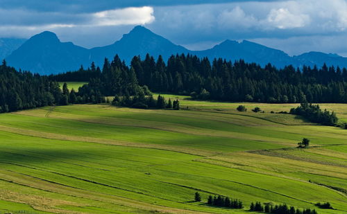 Scenic view of green landscape and mountains against sky