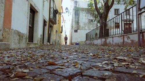 Autumn leaves on footpath by buildings