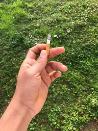 Cropped hand of person holding cigarette against plants