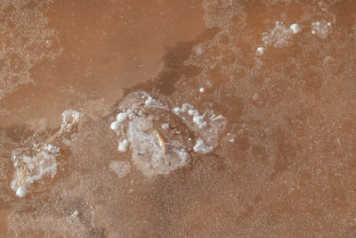 High angle view of sand on beach