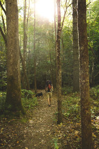 Rear view of man walking in forest