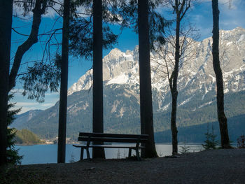 Trees and bench by lake against sky