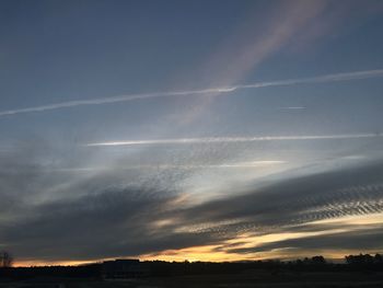 Silhouette trees against sky during sunset