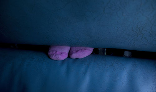 Low section of person wearing purple socks on seat