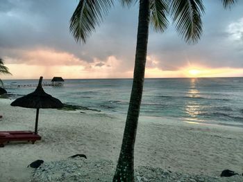 Scenic view of sea at sunset