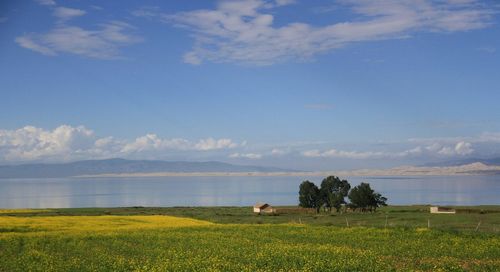 Scenic view of field against sky