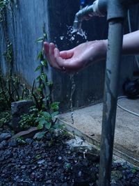 Midsection of person with plants in water