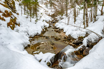 Snow covered stream amidst trees during winter