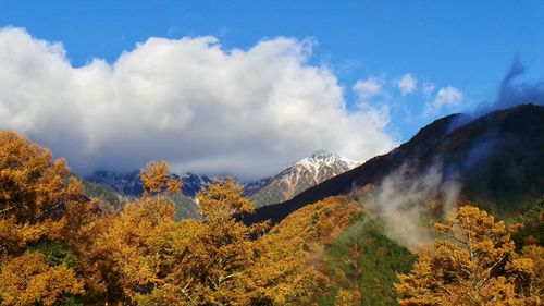 Panoramic view of trees and mountains against sky