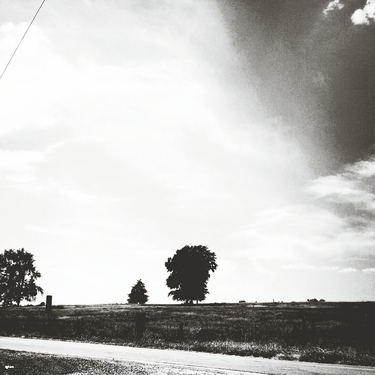 sky, tree, cloud - sky, lifestyles, cloud, field, nature, men, tranquility, tranquil scene, leisure activity, landscape, day, scenics, outdoors, beauty in nature, sunlight