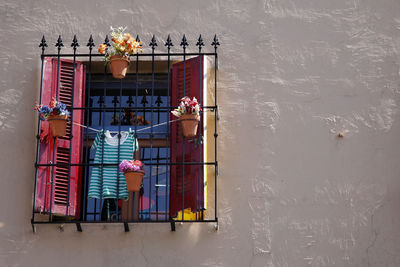 Window of building