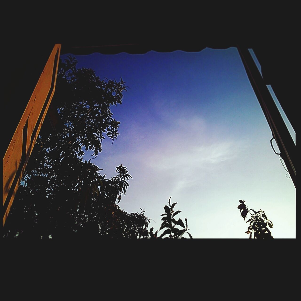 low angle view, silhouette, built structure, sky, architecture, building exterior, tree, clear sky, blue, branch, outdoors, building, no people, day, sunlight, window, high section, nature, cloud, growth