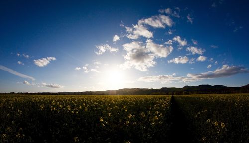 Scenic view of field against cloudy sky