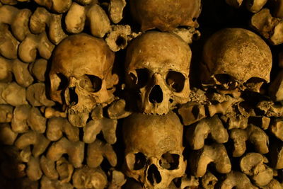 Close-up of stacked human skulls and bones