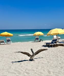 Scenic view of beach against clear blue sky