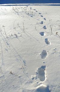 High angle view of footprints on snow covered land