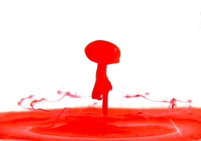 Close-up of red flower