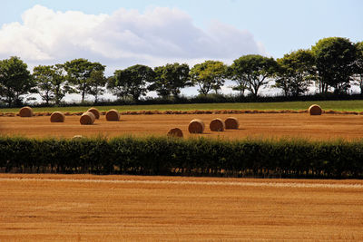 Hay bales on field against sky