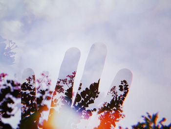 Low angle view of flowering plant against sky