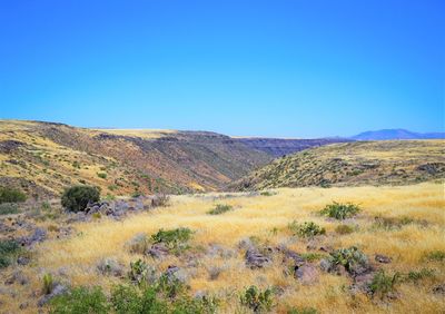 Scenic view of landscape against clear blue sky