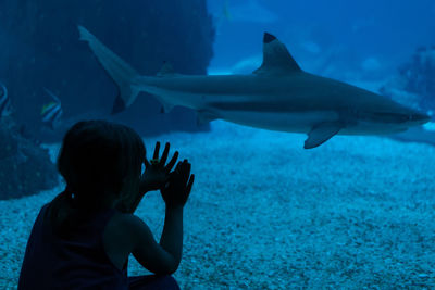 Rear view of boy in fish swimming in aquarium