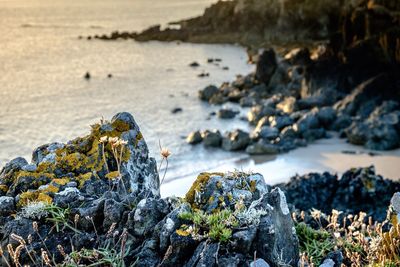 Close-up of rocks on beach