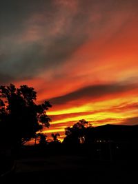 Silhouette trees against dramatic sky during sunset