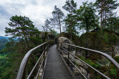 Footbridge amidst trees in forest against sky