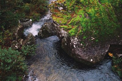 High angle view of waterfall in forest