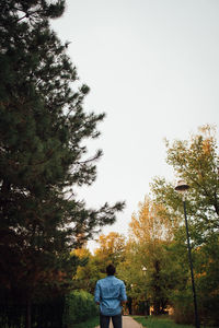 Rear view of man standing by trees against clear sky