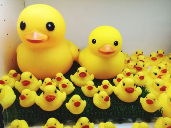 High angle view of rubber ducks and ducklings on table