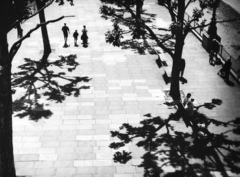 High angle view of people on tree