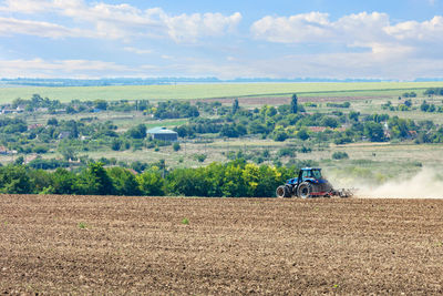 Tractor in the field cultivates the soil after the harvest.