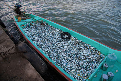 High angle view of fish in boat moored at harbor