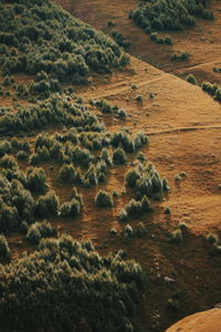 High angle view of land