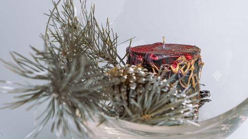 Close-up of christmas tree on table