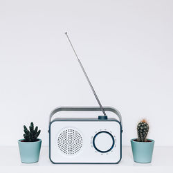 Radio and cactus still life art