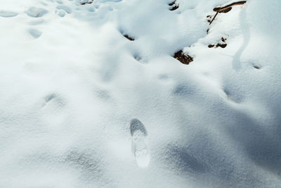 High angle view of footprints on snow covered field