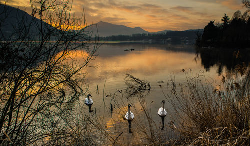 Scenic view of lake against sky during sunset