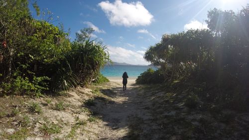 Rear view of man standing on beach against sky