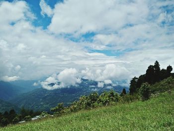 Scenic view of landscape against sky