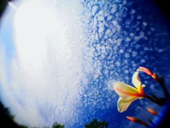 Low angle view of blue sky